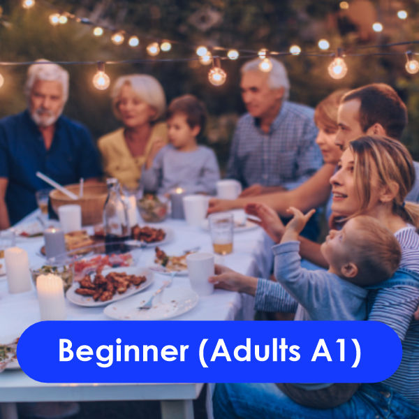 Beginner (Adults A1)